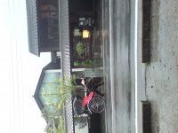 DSC00180.JPG